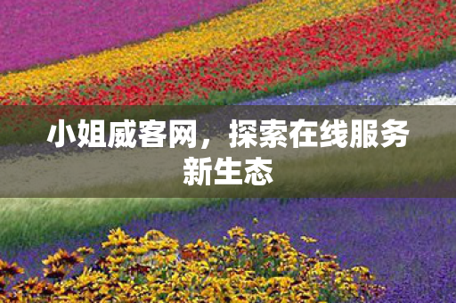 小姐威客网,探索在线服务新生态 小姐威客网,探索在线服务新生态
