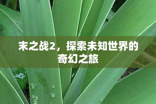 末之战2,探索未知世界的奇幻之旅 末之战2,探索未知世界的奇幻之旅