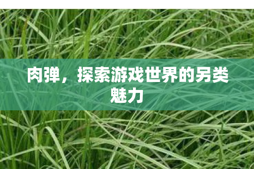 肉弹，探索游戏世界的另类魅力