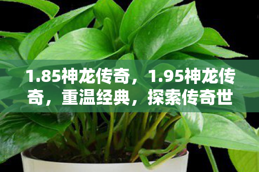 1.85神龙传奇,1.95神龙传奇,重温经典,探索传奇世界的无限可能 1.85神龙传奇,1.95神龙传奇,重温经典,探索传奇世界的无限可能