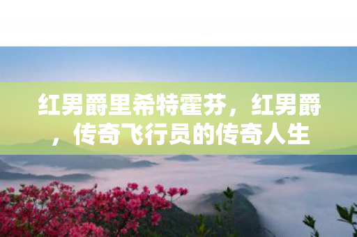 红男爵里希特霍芬,红男爵,传奇飞行员的传奇人生 红男爵里希特霍芬,红男爵,传奇飞行员的传奇人生