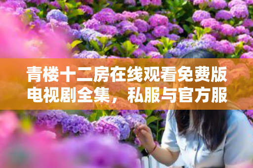 青楼十二房在线观看免费版电视剧全集,私服与官方服务器的差异,从用户体验到运营模式的深度剖析 青楼十二房在线观看免费版电视剧全集,私服与官方服务器的差异,从用户体验到运营模式的深度剖析