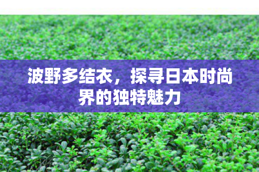 波野多结衣，探寻日本时尚界的独特魅力