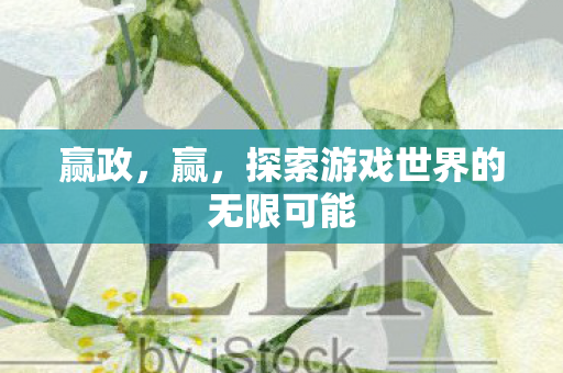 赢政,赢,探索游戏世界的无限可能 赢政,赢,探索游戏世界的无限可能