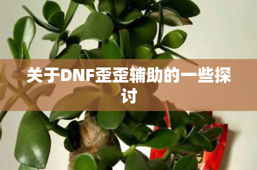 关于DNF歪歪辅助的一些探讨 关于DNF歪歪辅助的一些探讨