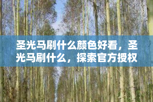圣光马刷什么颜色好看,圣光马刷什么,探索官方授权下的游戏乐趣 圣光马刷什么颜色好看,圣光马刷什么,探索官方授权下的游戏乐趣