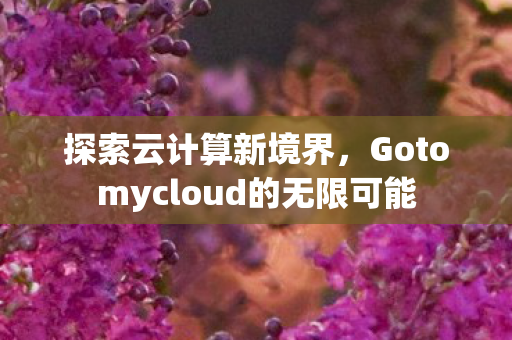 探索云计算新境界,Gotomycloud的无限可能 探索云计算新境界,Gotomycloud的无限可能