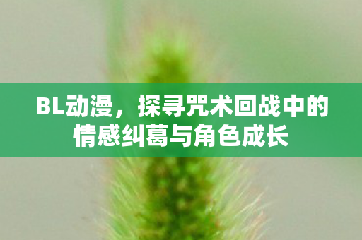 BL动漫,探寻咒术回战中的情感纠葛与角色成长 BL动漫,探寻咒术回战中的情感纠葛与角色成长
