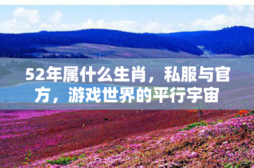 52年属什么生肖，私服与官方，游戏世界的平行宇宙