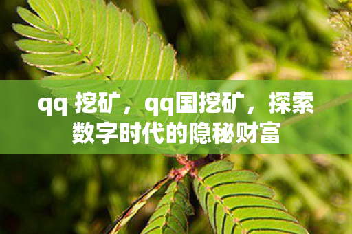 qq 挖矿，qq国挖矿，探索数字时代的隐秘财富