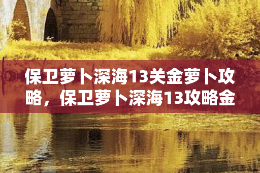 保卫萝卜深海13关金萝卜攻略,保卫萝卜深海13攻略金萝卜布阵图 保卫萝卜深海13关金萝卜攻略,保卫萝卜深海13攻略金萝卜布阵图