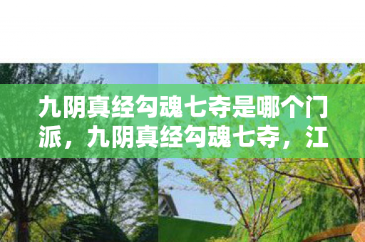 九阴真经勾魂七夺是哪个门派，九阴真经勾魂七夺，江湖风云中的绝世武学