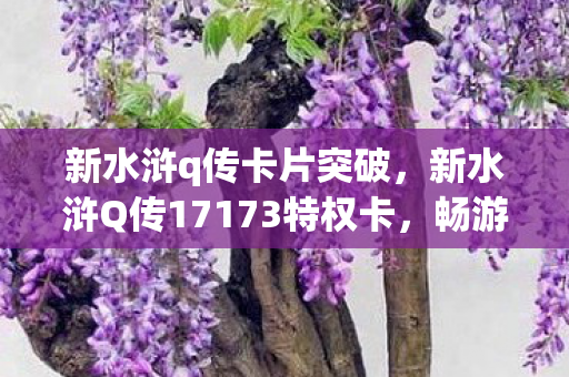 新水浒q传卡片突破，新水浒Q传17173特权卡，畅游水浒世界的专属钥匙