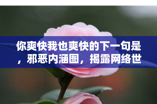 你爽快我也爽快的下一句是，邪恶内涵图，揭露网络世界的另一面