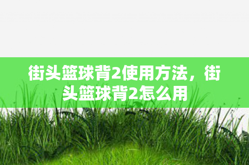 街头篮球背2使用方法,街头篮球背2怎么用 街头篮球背2使用方法,街头篮球背2怎么用