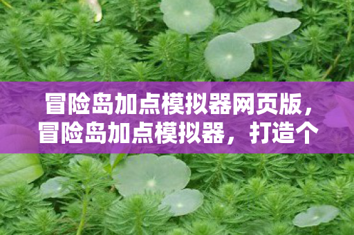 冒险岛加点模拟器网页版,冒险岛加点模拟器,打造个性化角色,提升战斗力的关键 冒险岛加点模拟器网页版,冒险岛加点模拟器,打造个性化角色,提升战斗力的关键