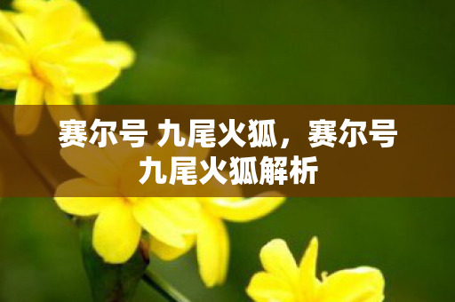 赛尔号 九尾火狐，赛尔号九尾火狐解析
