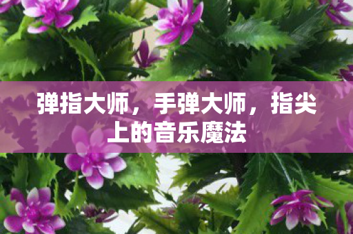 弹指大师,手弹大师,指尖上的音乐魔法 弹指大师,手弹大师,指尖上的音乐魔法