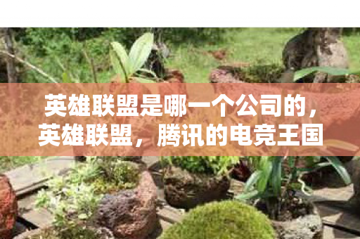 英雄联盟是哪一个公司的,英雄联盟,腾讯的电竞王国 英雄联盟是哪一个公司的,英雄联盟,腾讯的电竞王国