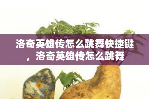 洛奇英雄传怎么跳舞快捷键，洛奇英雄传怎么跳舞