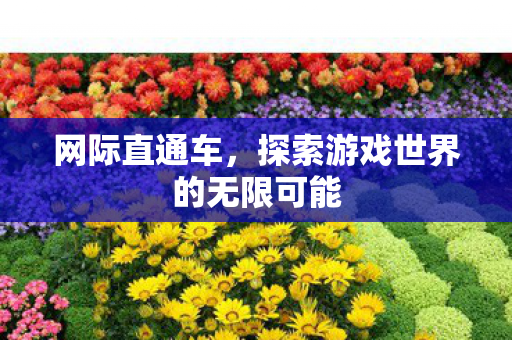 网际直通车,探索游戏世界的无限可能 网际直通车,探索游戏世界的无限可能