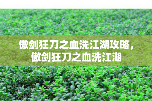 傲剑狂刀之血洗江湖攻略,傲剑狂刀之血洗江湖 傲剑狂刀之血洗江湖攻略,傲剑狂刀之血洗江湖