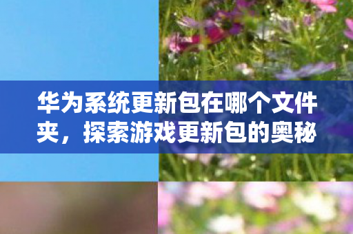 华为系统更新包在哪个文件夹,探索游戏更新包的奥秘,从文件夹看版本迭代 华为系统更新包在哪个文件夹,探索游戏更新包的奥秘,从文件夹看版本迭代