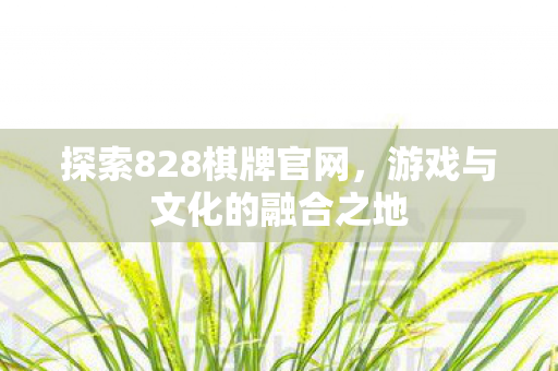 探索828棋牌官网,游戏与文化的融合之地 探索828棋牌官网,游戏与文化的融合之地