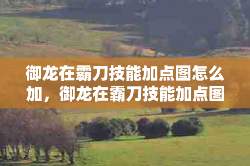 御龙在霸刀技能加点图怎么加，御龙在霸刀技能加点图