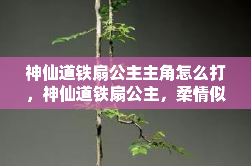 神仙道铁扇公主主角怎么打,神仙道铁扇公主,柔情似水,智勇双全的女中豪杰 神仙道铁扇公主主角怎么打,神仙道铁扇公主,柔情似水,智勇双全的女中豪杰