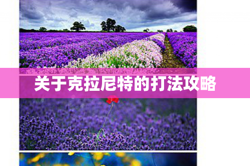 关于克拉尼特的打法攻略