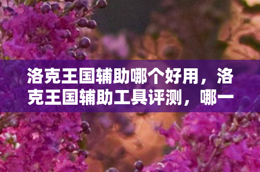 洛克王国辅助哪个好用,洛克王国辅助工具评测,哪一款是最佳选择? 洛克王国辅助哪个好用,洛克王国辅助工具评测,哪一款是最佳选择?