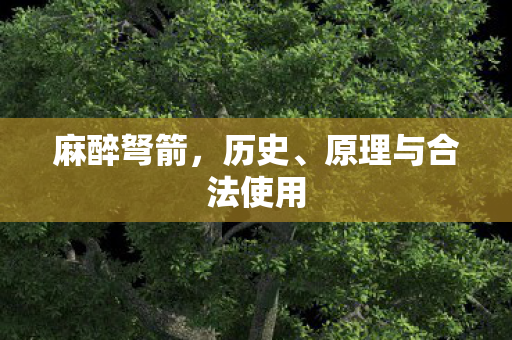 麻醉弩箭,历史、原理与合法使用 麻醉弩箭,历史、原理与合法使用