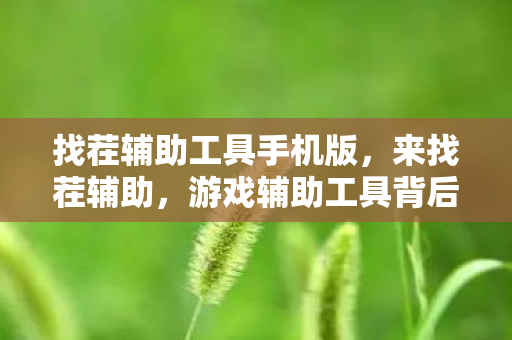 找茬辅助工具手机版,来找茬辅助,游戏辅助工具背后的双刃剑 找茬辅助工具手机版,来找茬辅助,游戏辅助工具背后的双刃剑