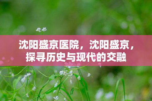 沈阳盛京医院,沈阳盛京,探寻历史与现代的交融 沈阳盛京医院,沈阳盛京,探寻历史与现代的交融