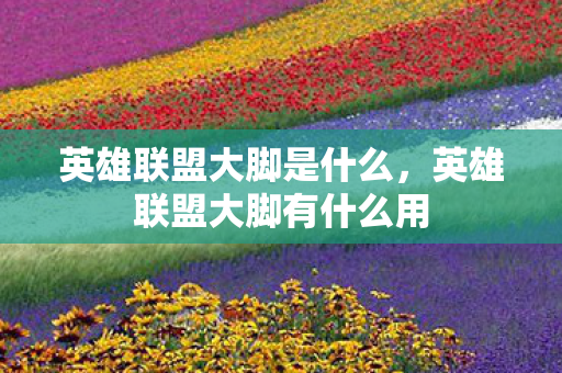 英雄联盟大脚是什么,英雄联盟大脚有什么用 英雄联盟大脚是什么,英雄联盟大脚有什么用