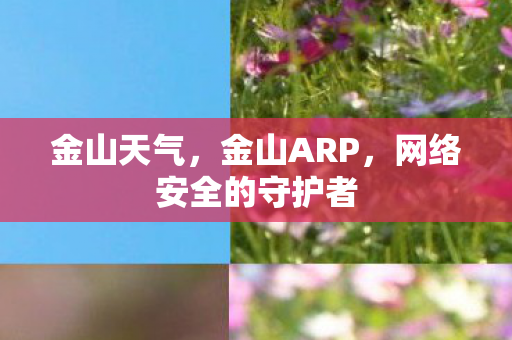 金山天气,金山ARP,网络安全的守护者 金山天气,金山ARP,网络安全的守护者