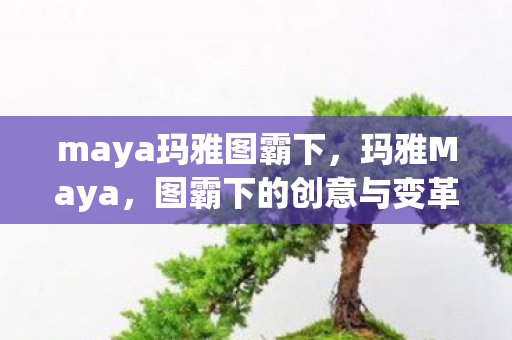 maya玛雅图霸下,玛雅Maya,图霸下的创意与变革 maya玛雅图霸下,玛雅Maya,图霸下的创意与变革
