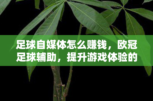 足球自媒体怎么赚钱，欧冠足球辅助，提升游戏体验的合法工具