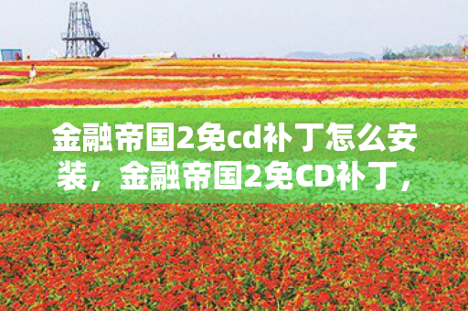 金融帝国2免cd补丁怎么安装，金融帝国2免CD补丁，打造便捷游戏体验