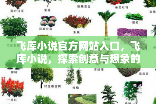 飞库小说官方网站入口，飞库小说，探索创意与想象的无限可能