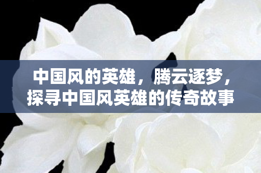 中国风的英雄,腾云逐梦,探寻中国风英雄的传奇故事 中国风的英雄,腾云逐梦,探寻中国风英雄的传奇故事
