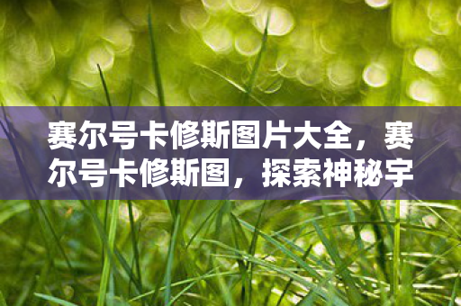 赛尔号卡修斯图片大全,赛尔号卡修斯图,探索神秘宇宙的勇士 赛尔号卡修斯图片大全,赛尔号卡修斯图,探索神秘宇宙的勇士