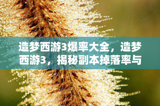 造梦西游3爆率大全,造梦西游3,揭秘副本掉落率与提升攻略 造梦西游3爆率大全,造梦西游3,揭秘副本掉落率与提升攻略