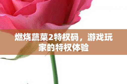 燃烧蔬菜2特权码,游戏玩家的特权体验 燃烧蔬菜2特权码,游戏玩家的特权体验