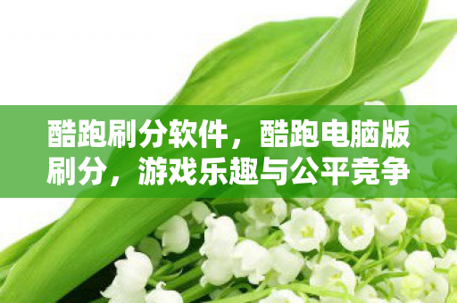 酷跑刷分软件,酷跑电脑版刷分,游戏乐趣与公平竞争之间的微妙平衡 酷跑刷分软件,酷跑电脑版刷分,游戏乐趣与公平竞争之间的微妙平衡