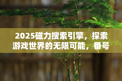2025磁力搜索引擎,探索游戏世界的无限可能,番号搜索器的奇妙之旅 2025磁力搜索引擎,探索游戏世界的无限可能,番号搜索器的奇妙之旅