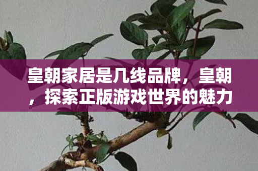 皇朝家居是几线品牌,皇朝,探索正版游戏世界的魅力 皇朝家居是几线品牌,皇朝,探索正版游戏世界的魅力