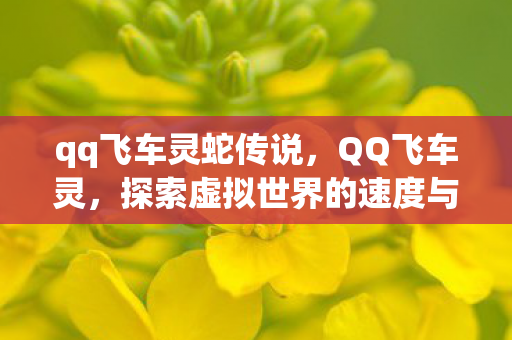 qq飞车灵蛇传说,QQ飞车灵,探索虚拟世界的速度与激情 qq飞车灵蛇传说,QQ飞车灵,探索虚拟世界的速度与激情