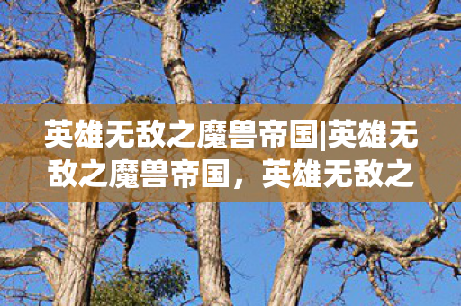 英雄无敌之魔兽帝国|英雄无敌之魔兽帝国,英雄无敌之魔兽帝国,探索帝国兴衰的传奇故事 英雄无敌之魔兽帝国|英雄无敌之魔兽帝国,英雄无敌之魔兽帝国,探索帝国兴衰的传奇故事